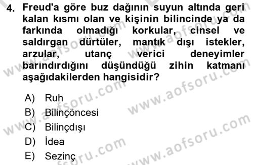 Zihin Felsefesi Dersi 2021 - 2022 Yılı (Vize) Ara Sınav Soruları 4. Soru