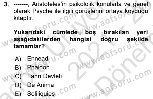 Zihin Felsefesi Dersi 2021 - 2022 Yılı (Final) Dönem Sonu Sınav Soruları 3. Soru