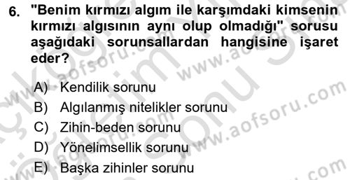 Zihin Felsefesi Dersi 2021 - 2022 Yılı (Final) Dönem Sonu Sınav Soruları 6. Soru