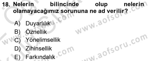 Zihin Felsefesi Dersi 2021 - 2022 Yılı Yaz Okulu Sınav Soruları 18. Soru