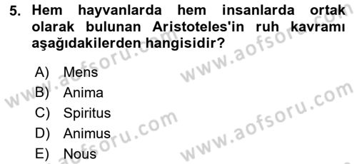 Zihin Felsefesi Dersi 2021 - 2022 Yılı Yaz Okulu Sınav Soruları 5. Soru