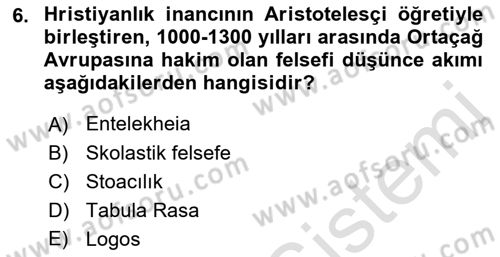 Zihin Felsefesi Dersi 2021 - 2022 Yılı Yaz Okulu Sınav Soruları 6. Soru