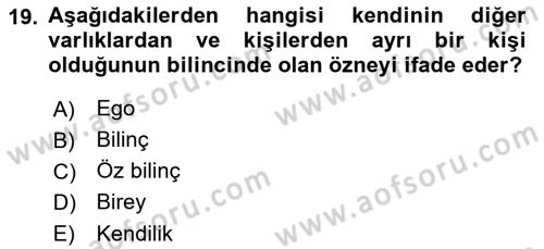 Zihin Felsefesi Dersi 2022 - 2023 Yılı Yaz Okulu Sınav Soruları 19. Soru