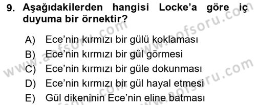 Zihin Felsefesi Dersi 2022 - 2023 Yılı Yaz Okulu Sınav Soruları 9. Soru