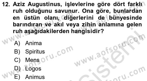 Zihin Felsefesi Dersi 2023 - 2024 Yılı (Vize) Ara Sınav Soruları 12. Soru