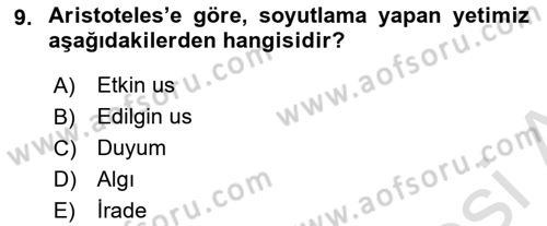 Zihin Felsefesi Dersi 2023 - 2024 Yılı (Vize) Ara Sınav Soruları 9. Soru
