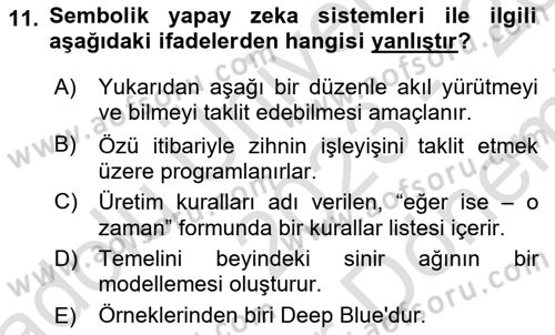 Zihin Felsefesi Dersi 2023 - 2024 Yılı (Final) Dönem Sonu Sınav Soruları 11. Soru