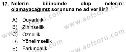 Zihin Felsefesi Dersi 2023 - 2024 Yılı (Final) Dönem Sonu Sınav Soruları 17. Soru