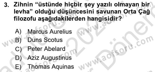 Zihin Felsefesi Dersi 2023 - 2024 Yılı (Final) Dönem Sonu Sınav Soruları 3. Soru
