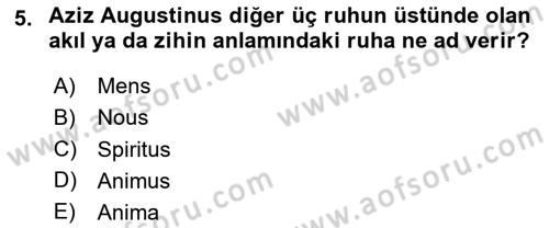 Zihin Felsefesi Dersi 2023 - 2024 Yılı Yaz Okulu Sınav Soruları 5. Soru