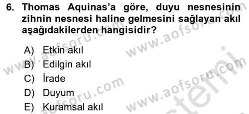 Zihin Felsefesi Dersi 2023 - 2024 Yılı Yaz Okulu Sınav Soruları 6. Soru