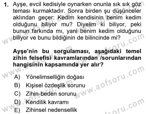 Zihin Felsefesi Dersi 2024 - 2025 Yılı (Vize) Ara Sınav Soruları 1. Soru
