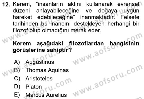 Zihin Felsefesi Dersi 2024 - 2025 Yılı (Vize) Ara Sınav Soruları 12. Soru
