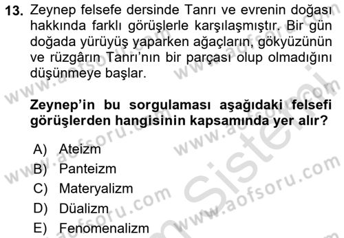 Zihin Felsefesi Dersi 2024 - 2025 Yılı (Vize) Ara Sınav Soruları 13. Soru
