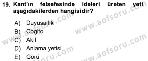 Zihin Felsefesi Dersi 2024 - 2025 Yılı (Vize) Ara Sınav Soruları 19. Soru