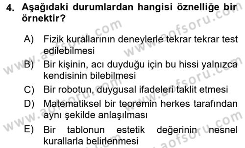 Zihin Felsefesi Dersi 2024 - 2025 Yılı (Vize) Ara Sınav Soruları 4. Soru
