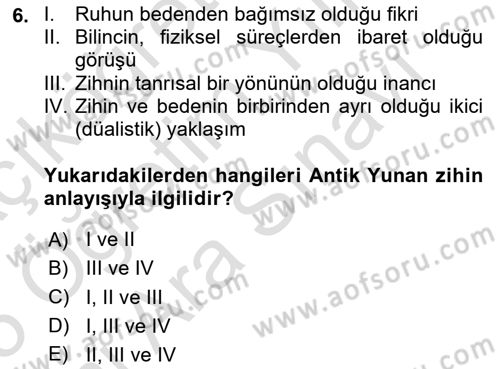 Zihin Felsefesi Dersi 2024 - 2025 Yılı (Vize) Ara Sınav Soruları 6. Soru