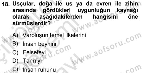 Tarih Felsefesi 1 Dersi 2014 - 2015 Yılı Tek Ders Sınav Soruları 18. Soru