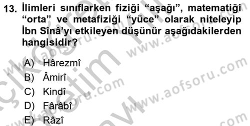 Tarih Felsefesi 1 Dersi 2016 - 2017 Yılı 3 Ders Sınav Soruları 13. Soru