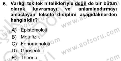 Tarih Felsefesi 1 Dersi 2022 - 2023 Yılı (Vize) Ara Sınav Soruları 6. Soru