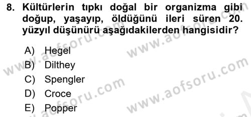 Tarih Felsefesi 2 Dersi 2015 - 2016 Yılı Tek Ders Sınav Soruları 8. Soru