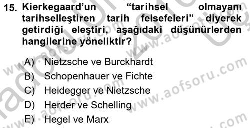 Tarih Felsefesi 2 Dersi 2016 - 2017 Yılı 3 Ders Sınav Soruları 15. Soru