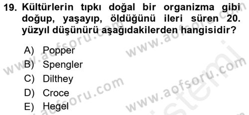 Tarih Felsefesi 2 Dersi 2017 - 2018 Yılı 3 Ders Sınav Soruları 19. Soru