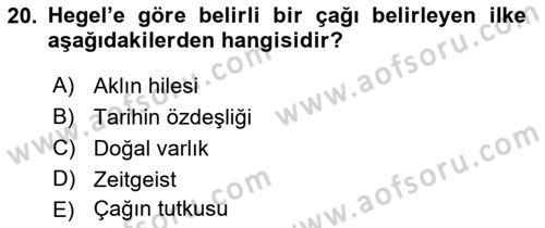 Tarih Felsefesi 2 Dersi 2021 - 2022 Yılı Yaz Okulu Sınav Soruları 20. Soru