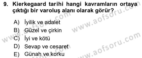 Tarih Felsefesi 2 Dersi 2023 - 2024 Yılı Yaz Okulu Sınav Soruları 9. Soru