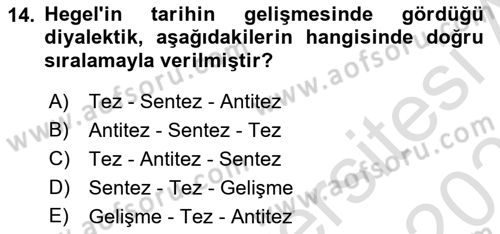 Tarih Felsefesi 2 Dersi 2024 - 2025 Yılı (Vize) Ara Sınav Soruları 14. Soru