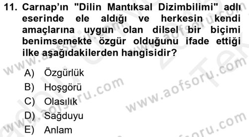 Çağdaş Felsefe 1 Dersi 2015 - 2016 Yılı Tek Ders Sınav Soruları 11. Soru
