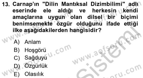 Çağdaş Felsefe 1 Dersi 2018 - 2019 Yılı Yaz Okulu Sınav Soruları 13. Soru
