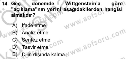 Çağdaş Felsefe 1 Dersi 2018 - 2019 Yılı Yaz Okulu Sınav Soruları 14. Soru