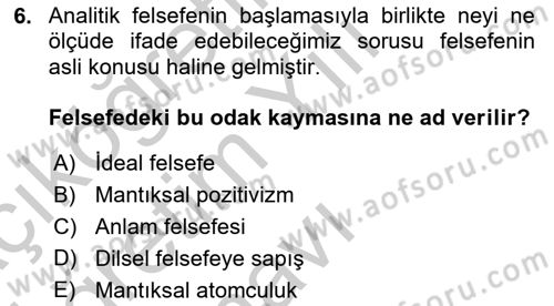 Çağdaş Felsefe 1 Dersi 2018 - 2019 Yılı Yaz Okulu Sınav Soruları 6. Soru