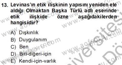 Çağdaş Felsefe 2 Dersi 2013 - 2014 Yılı (Final) Dönem Sonu Sınav Soruları 13. Soru