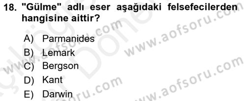Çağdaş Felsefe 2 Dersi 2015 - 2016 Yılı (Vize) Ara Sınav Soruları 18. Soru