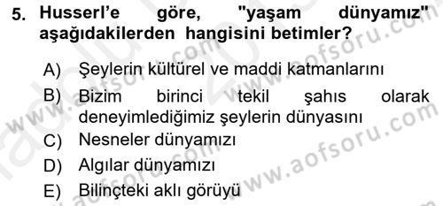 Çağdaş Felsefe 2 Dersi 2015 - 2016 Yılı (Vize) Ara Sınav Soruları 5. Soru