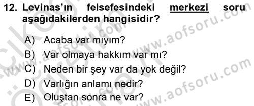 Çağdaş Felsefe 2 Dersi 2020 - 2021 Yılı Yaz Okulu Sınavı 12. Soru