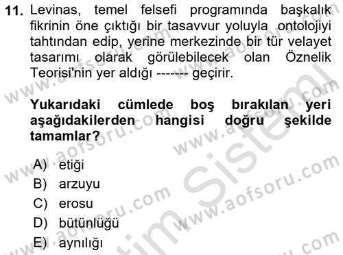 Çağdaş Felsefe 2 Dersi 2021 - 2022 Yılı Yaz Okulu Sınav Soruları 11. Soru