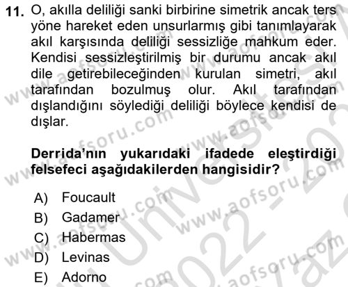 Çağdaş Felsefe 2 Dersi 2022 - 2023 Yılı Yaz Okulu Sınav Soruları 11. Soru