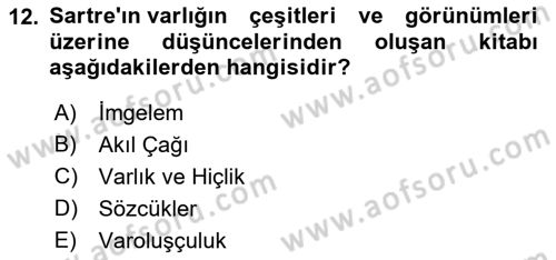 Çağdaş Felsefe 2 Dersi 2022 - 2023 Yılı Yaz Okulu Sınav Soruları 12. Soru