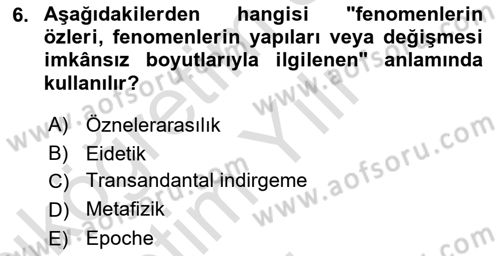 Çağdaş Felsefe 2 Dersi 2022 - 2023 Yılı Yaz Okulu Sınav Soruları 6. Soru