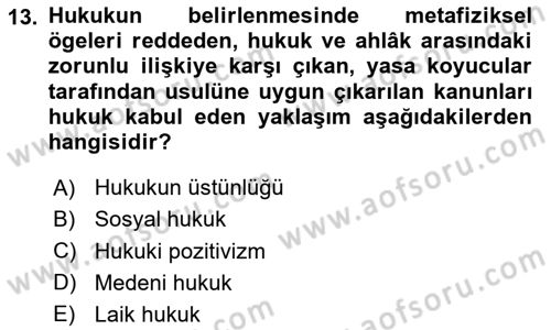 Çağdaş Felsefe 2 Dersi 2023 - 2024 Yılı (Final) Dönem Sonu Sınav Soruları 13. Soru