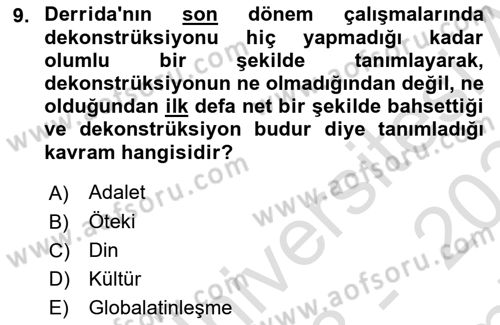Çağdaş Felsefe 2 Dersi 2023 - 2024 Yılı (Final) Dönem Sonu Sınav Soruları 9. Soru