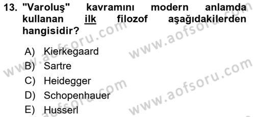 Çağdaş Felsefe 2 Dersi 2023 - 2024 Yılı Yaz Okulu Sınav Soruları 13. Soru