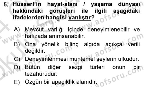 Çağdaş Felsefe 2 Dersi 2023 - 2024 Yılı Yaz Okulu Sınav Soruları 5. Soru