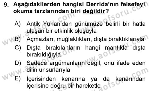 Çağdaş Felsefe 2 Dersi 2023 - 2024 Yılı Yaz Okulu Sınav Soruları 9. Soru