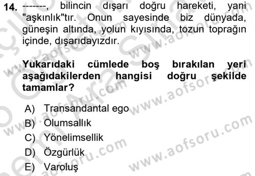 Çağdaş Felsefe 2 Dersi 2024 - 2025 Yılı (Vize) Ara Sınav Soruları 14. Soru