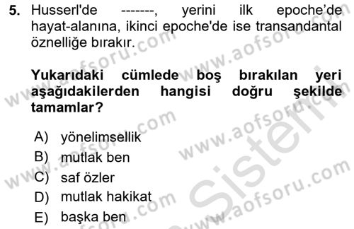 Çağdaş Felsefe 2 Dersi 2024 - 2025 Yılı (Vize) Ara Sınav Soruları 5. Soru