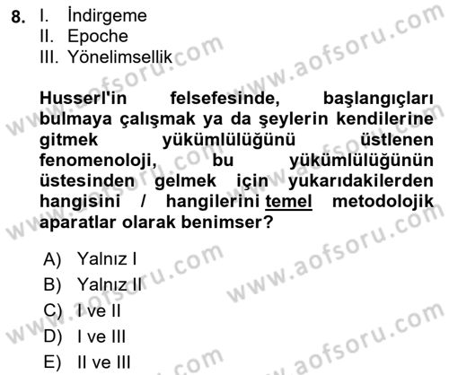 Çağdaş Felsefe 2 Dersi 2024 - 2025 Yılı (Vize) Ara Sınav Soruları 8. Soru